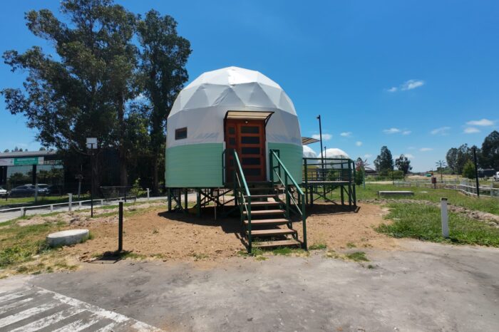 Carmenere - Domo Wineroute - Perarillo