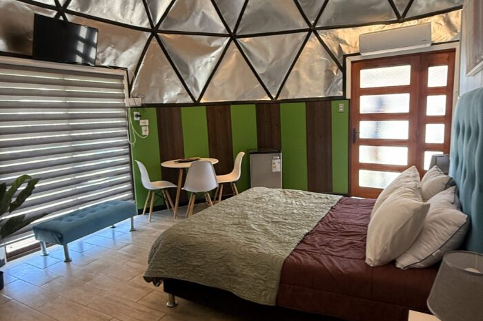 Domo Late Harvet - Wine route Peralillo