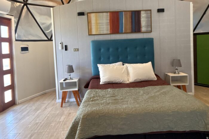 Domo Late Harverst 1 - Wine route Peralillo