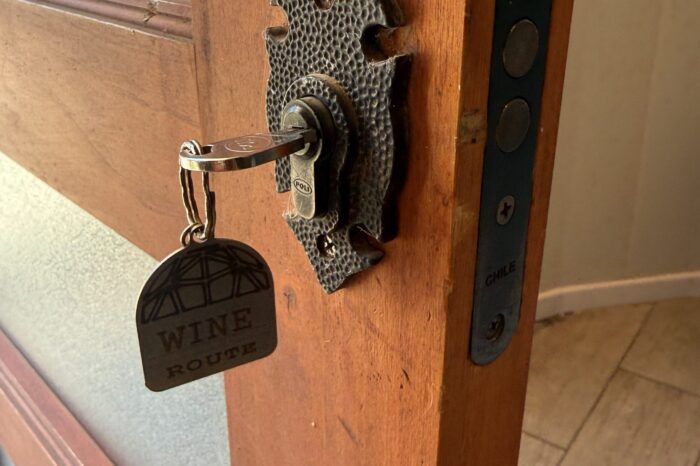 Domo Petit Verdot 1 - Wine route Peralillo